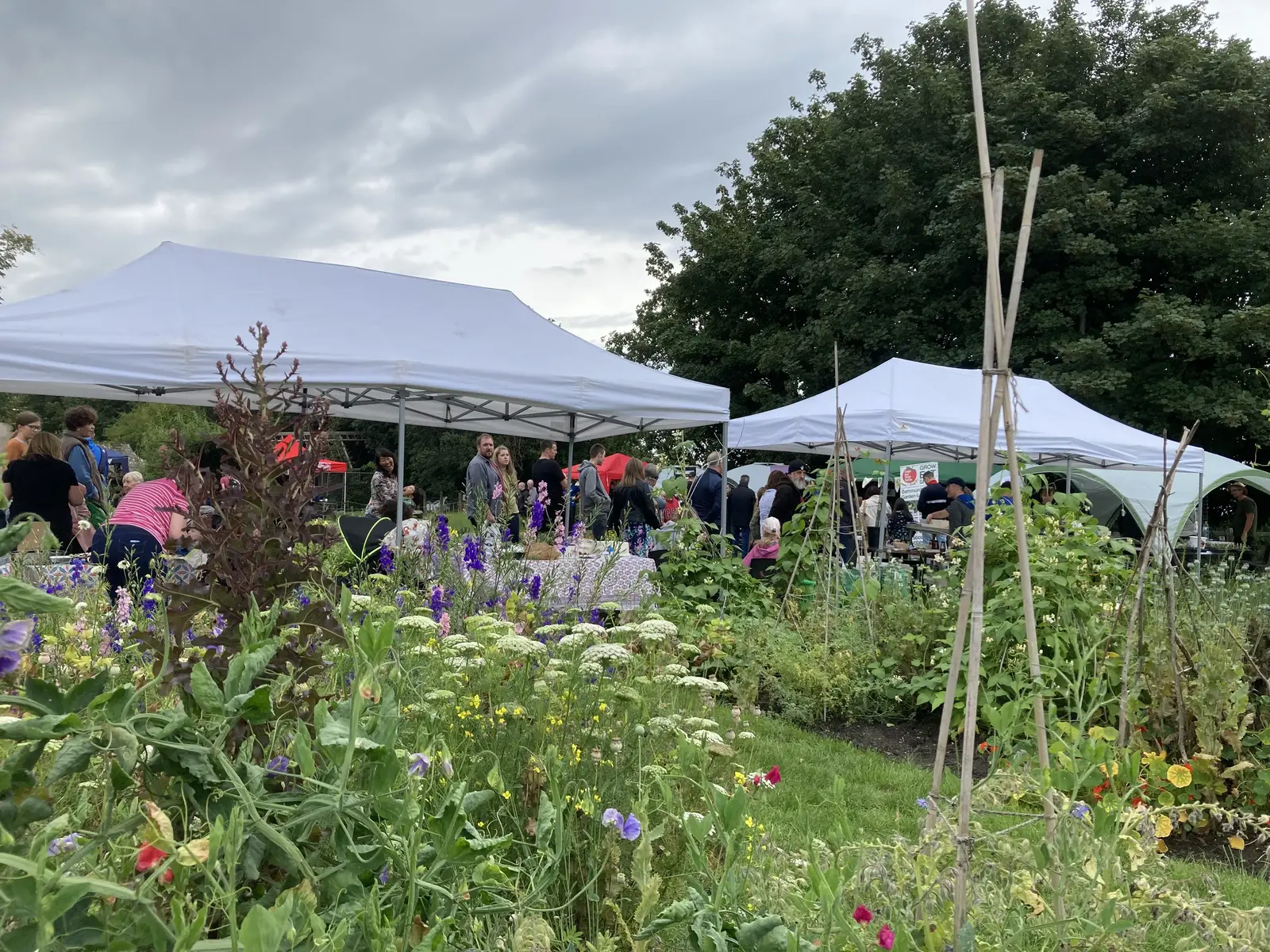 image for 7423DB7A-134D-443B-9BD4-183BAB2922B4